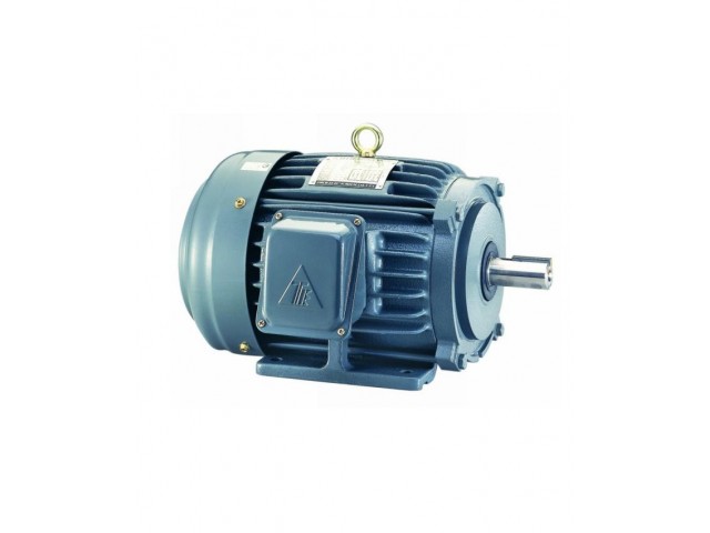 Teco Induction Motor ( Copper Wire ) Single Phase, 220V, 60Hz.
