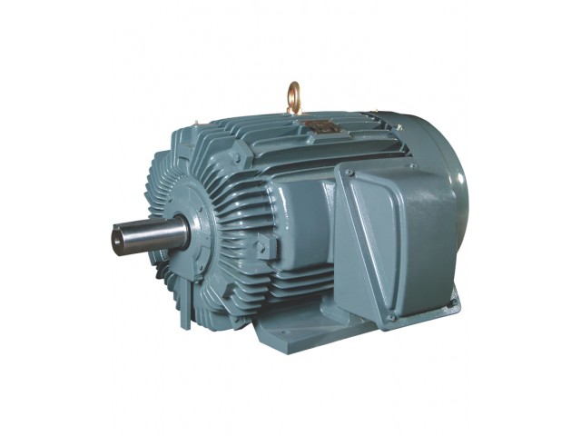 Teco Induction Motor ( Copper Wire ) Three Phase, 220V, 60Hz.