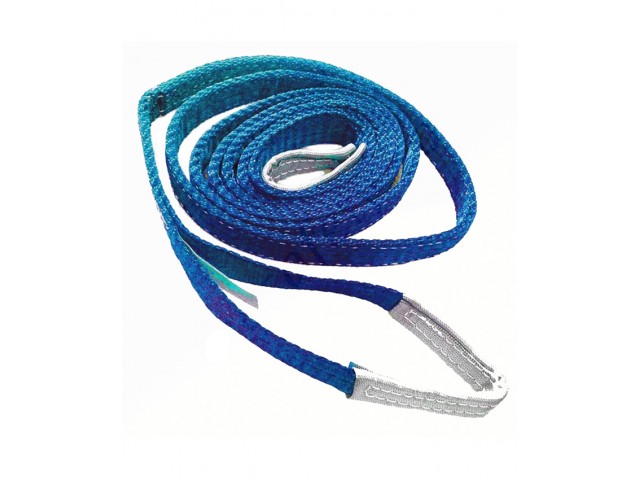 Renjin Power Polyester Webbing Sling 8 Ton x 200mm x 2 ply Blue Color
